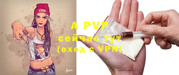 стафф Богданович