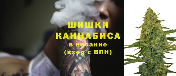 стафф Богданович