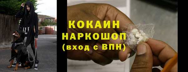 стафф Богданович