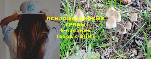 не бодяженный Богородицк