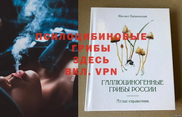 не бодяженный Богородицк