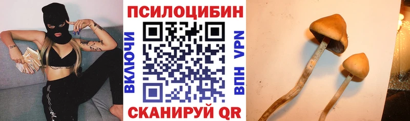 где можно купить   Каменск-Уральский  нарко площадка формула  Галлюциногенные грибы мицелий 